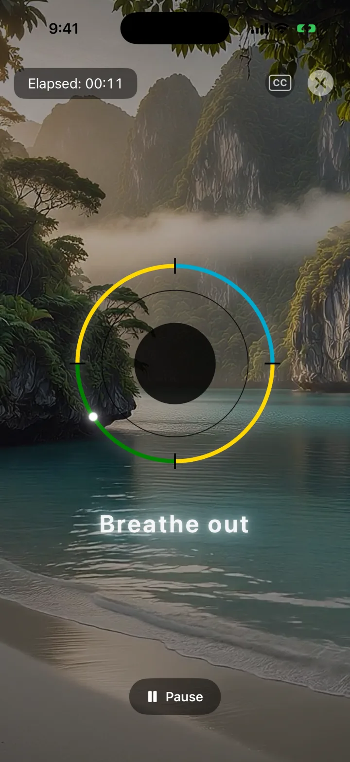 Xaia Advocate guided breathing session over a misty lagoon scene